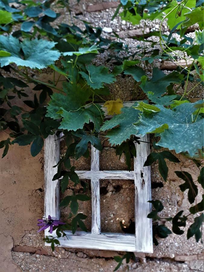 Little Vine Bed & Breakfast Sant Pere De Ribes Exterior foto